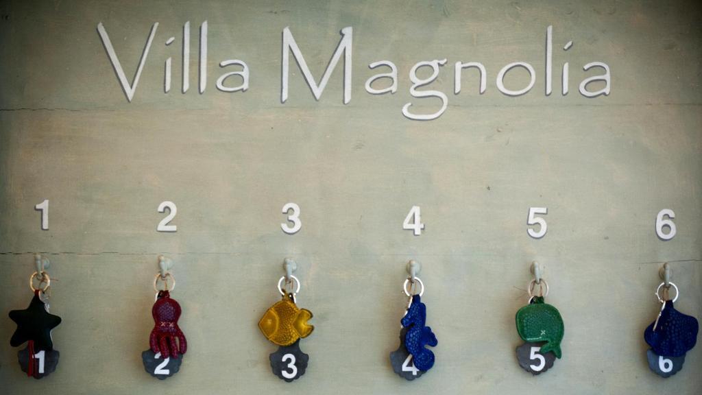 روما Villa Magnolia Relais المظهر الخارجي الصورة